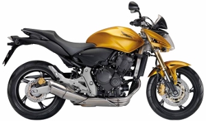 CB600F Hornet Yellow 2010