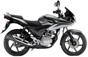 CBF125 Silver 2010