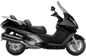 Silver Wing Black 2010