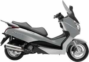 S-Wing Silver 2010