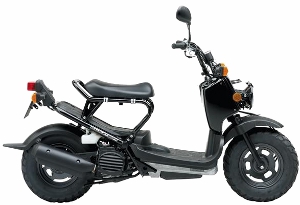 Zoomer Black 2010