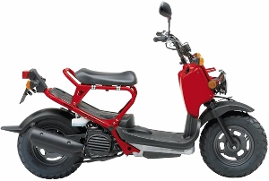 Zoomer Red 2010