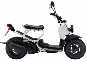 Zoomer White 2010